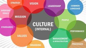 PJJ Building Sustainable Organization Branding